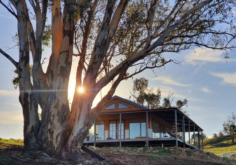 Kestrel Nest EcoHut - Tourism Cairns 0