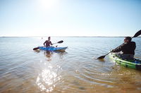 Book Lake Boga Accommodation Vacations Tourism Cairns Tourism Cairns