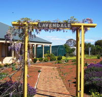 Lavendale Farmstay and Cottages York - Tourism Cairns