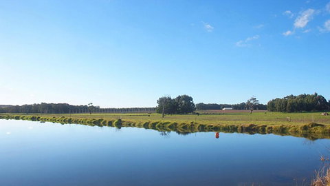 Le Reve 3 - Tourism Cairns 3