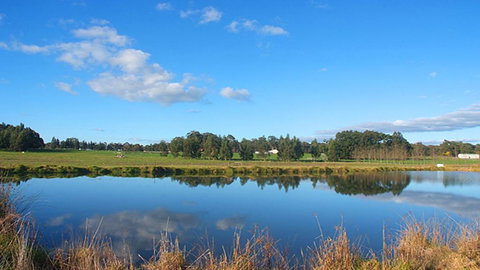 Le Reve 3 - Tourism Cairns 1