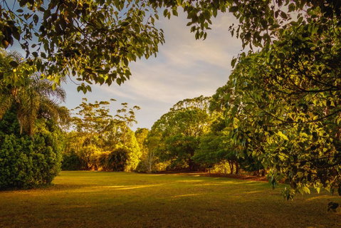 Malanda Lodge - Tourism Cairns 1