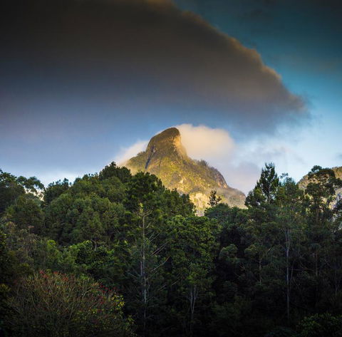 Mavis's Cabins @ Mt Warning - Tourism Cairns 1