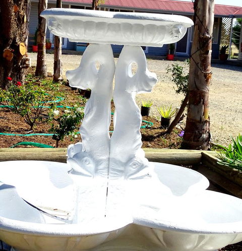 Mercury Motor Inn - Tourism Cairns 3