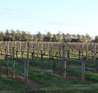 Milawa Vineyard Views - Guesthouse 2 - Tourism Cairns