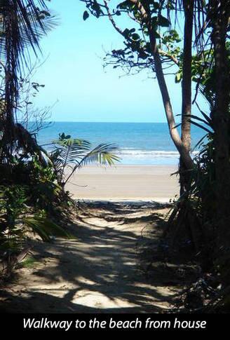 Mission Belle - Stunning Beachfront House - Tourism Cairns 3