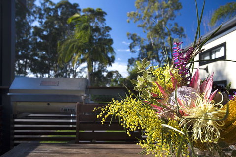Mollymook Caravan Park - Tourism Cairns 2