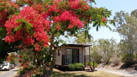 Book Mount Larcom Accommodation Vacations Tourism Cairns Tourism Cairns