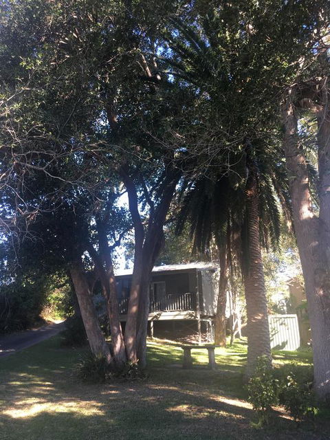 Neds On Northcote - Tourism Cairns 0