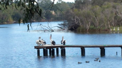 Jacaranda Hideaway Bed & Breakfast - Tourism Cairns 18