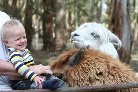 Margaret River Hideaway & Farmstay - Tourism Cairns 21