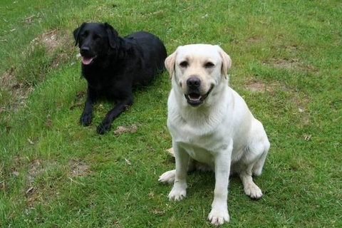 Margaret River Hideaway & Farmstay - Tourism Cairns 29