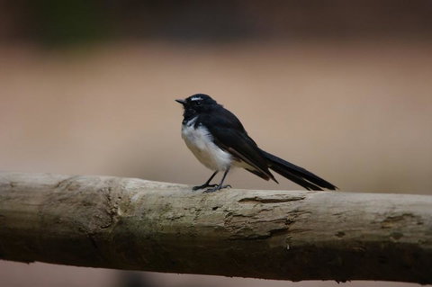 Margaret River Hideaway & Farmstay - Tourism Cairns 33