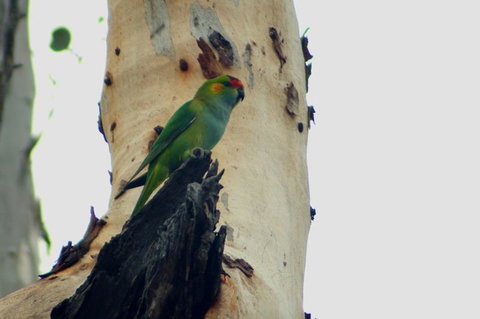 Margaret River Hideaway & Farmstay - Tourism Cairns 23