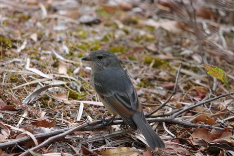 Margaret River Hideaway & Farmstay - Tourism Cairns 24