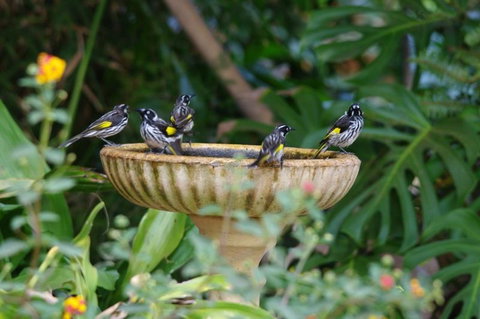 Margaret River Hideaway & Farmstay - Tourism Cairns 30