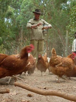 Margaret River Hideaway & Farmstay - Tourism Cairns 28