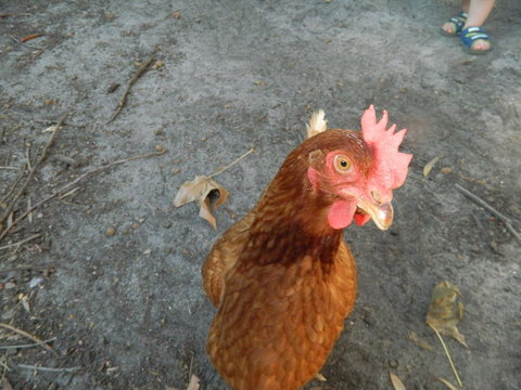 Margaret River Hideaway & Farmstay - Tourism Cairns 34