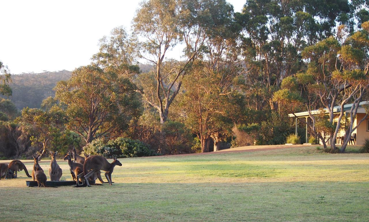 North Walpole WA Tourism Cairns