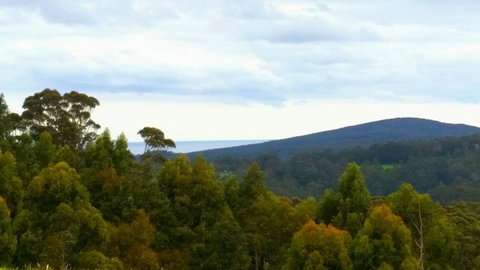 Karri Aura - Tourism Cairns 10