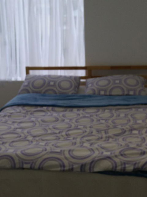 DIANELLA Budget Rooms Happy Place To Stay - Tourism Cairns 24