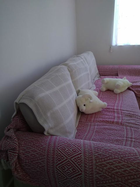 DIANELLA Budget Rooms Happy Place To Stay - Tourism Cairns 29