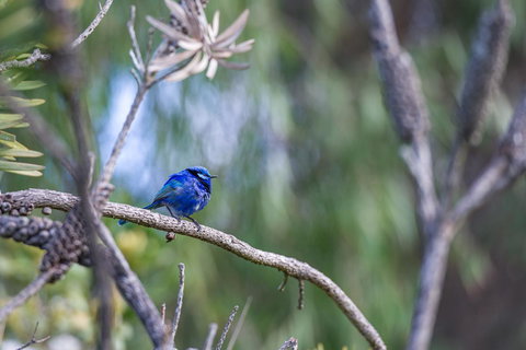 Surfside Ocean Beach Denmark Holiday Accommodation - Tourism Cairns 3