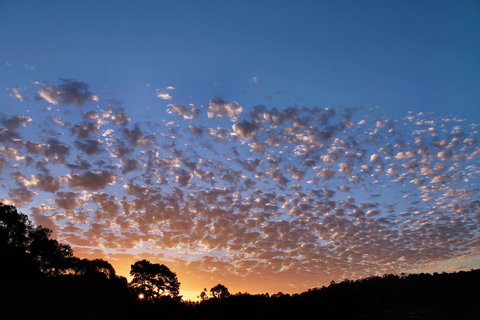 Bridgetown Valley Lodge - Tourism Cairns 6
