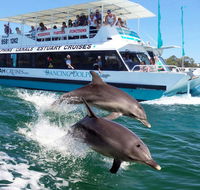 Belvedere Caravan Park - Tourism Cairns