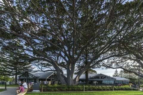 Indoyo Retreat - Tourism Cairns 20