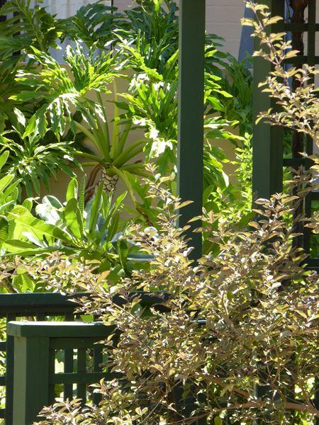 Kalbarri Beach Resort - Tourism Cairns 32