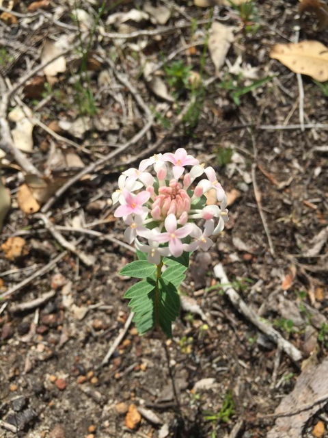 Eagle Bay House - Tourism Cairns 35