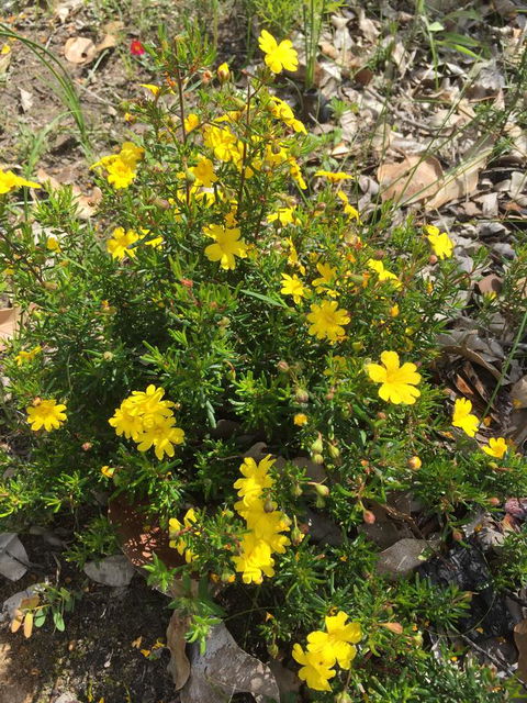 Eagle Bay House - Tourism Cairns 6