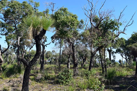 Eagle Bay House - Tourism Cairns 33