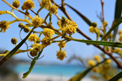 Eagle Bay House - Tourism Cairns 28