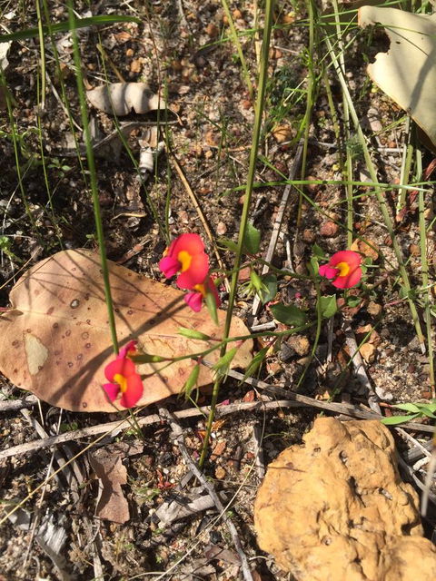 Eagle Bay House - Tourism Cairns 34