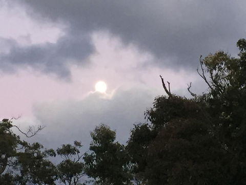 Eagle Bay House - Tourism Cairns 17