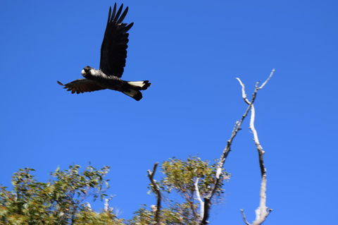 Eagle Bay House - Tourism Cairns 8