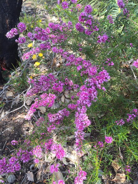 Eagle Bay House - Tourism Cairns 1