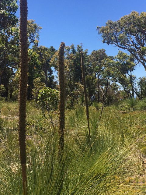 Eagle Bay House - Tourism Cairns 15