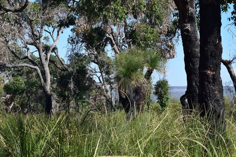 Eagle Bay House - Tourism Cairns 32