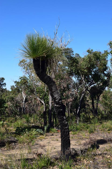 Eagle Bay House - Tourism Cairns 36