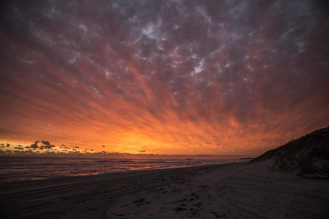 Salty Shack Lancelin - Tourism Cairns 25