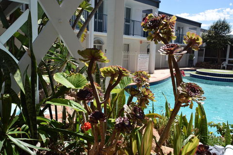 West Beach Lagoon 109 â€“ Amazing Location! - Tourism Cairns 12
