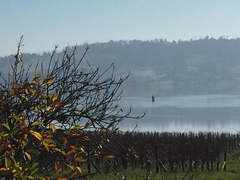 Amble\'a\'While On Tamar - Tourism Cairns 23