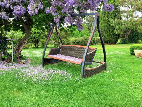 Amble\'a\'While On Tamar - Tourism Cairns 22