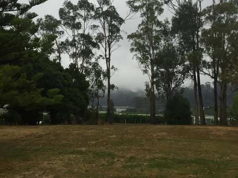 Amble\'a\'While On Tamar - Tourism Cairns 39