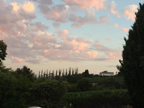 Amble\'a\'While On Tamar - Tourism Cairns 40