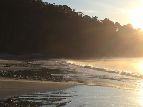 Summertime Cottage - Tourism Cairns 7