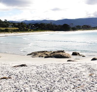 Mermaids of Bicheno - Tourism Cairns